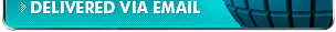 Templates from this library are all one low cost of $49.95 and will be delivered via email.