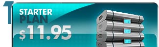 Starter Hosting Plan $14.95/month