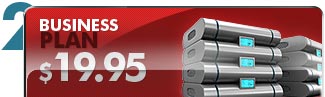 Business Hosting Plan $19.95/month