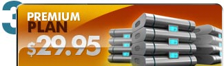 Premium Hosting Plan $29.95/month