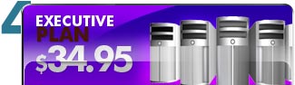 Executive Hosting Plan $39.95/month